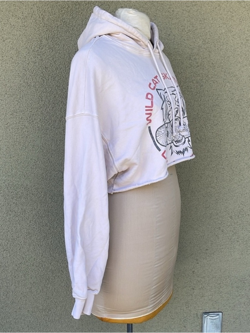 Free People Daydreamer Wild Cat Skate Park Graphic Cropped Hoodie - Picture 5 of 8